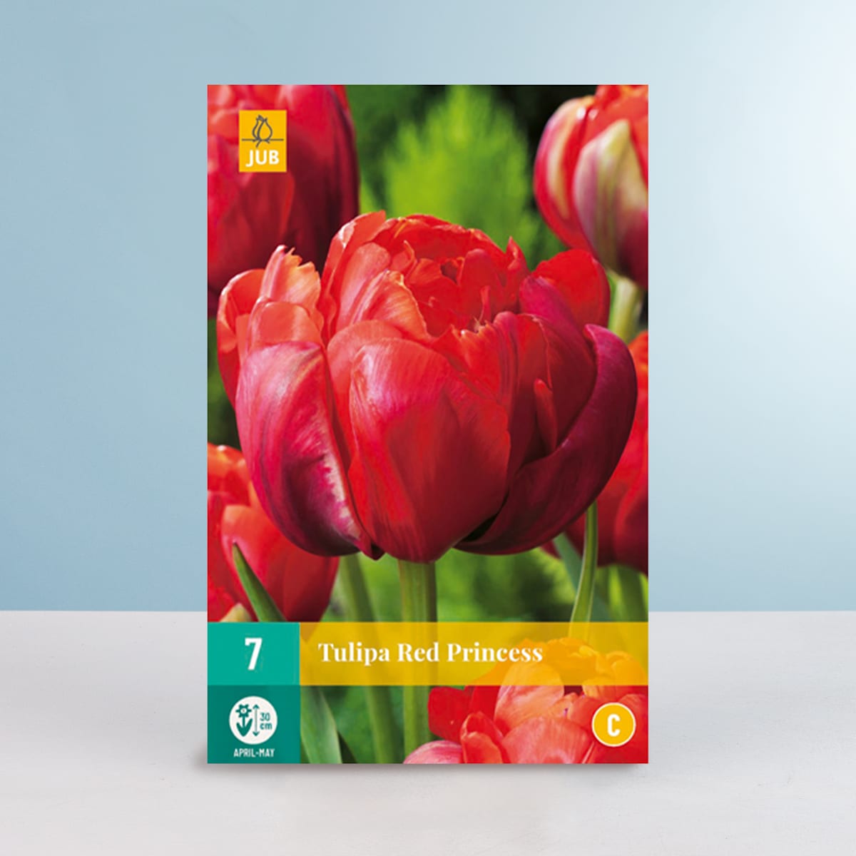 Gefüllte späte Tulpe 'Red Princess' - 7 Zwiebeln