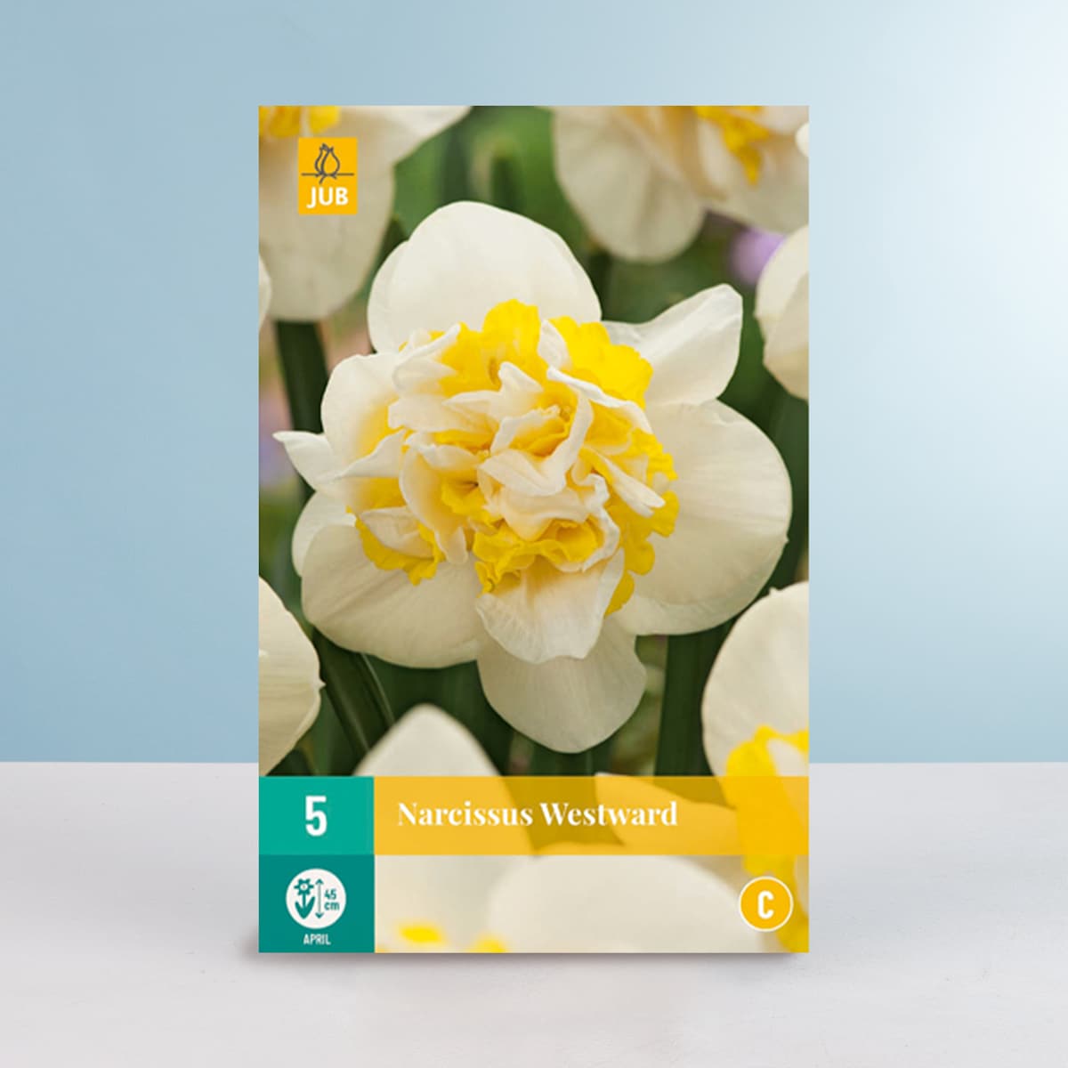 Gefüllte-Narzisse 'Westward' - 5 Zwiebeln