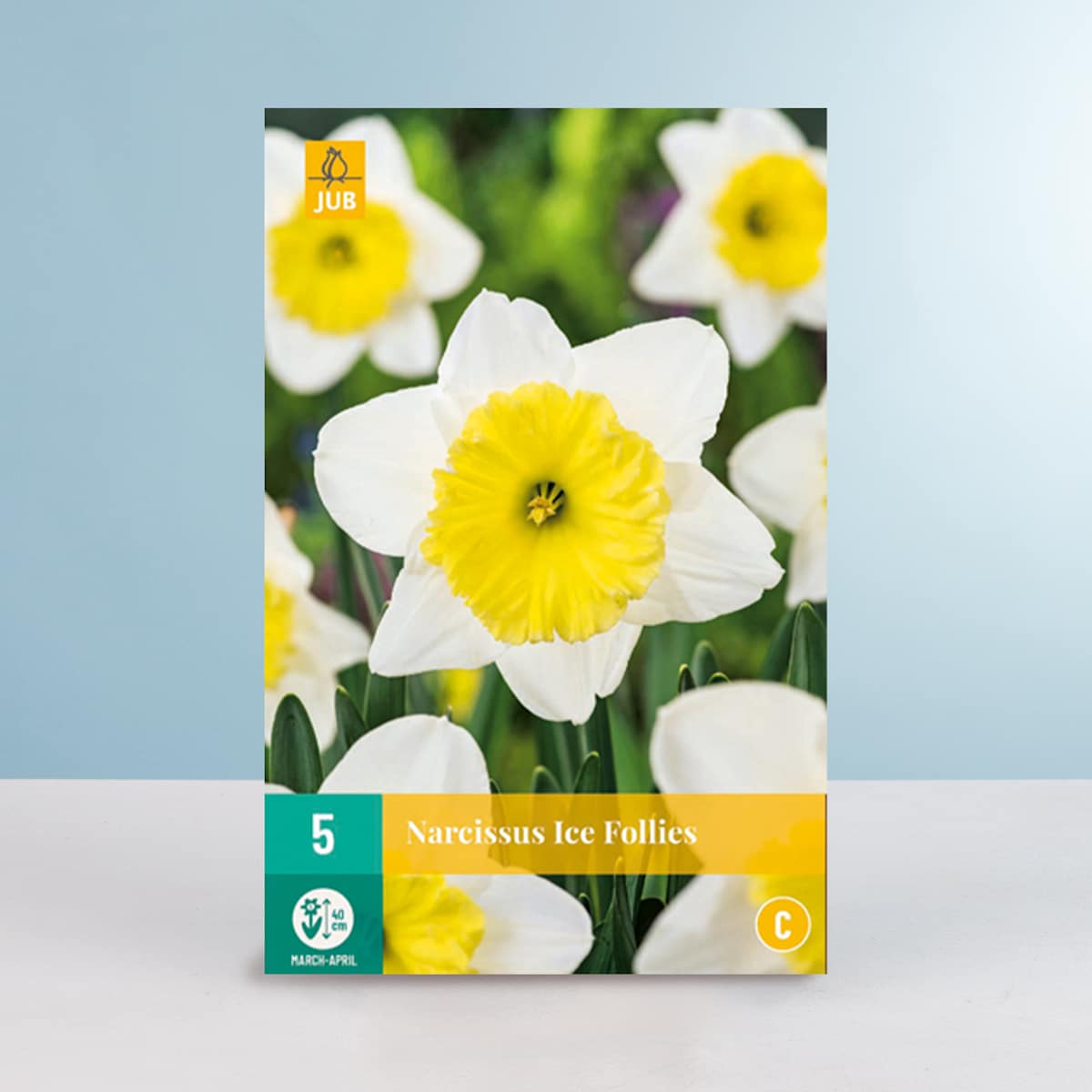Großblumige Narzisse 'Ice Follies' - 5 Zwiebeln