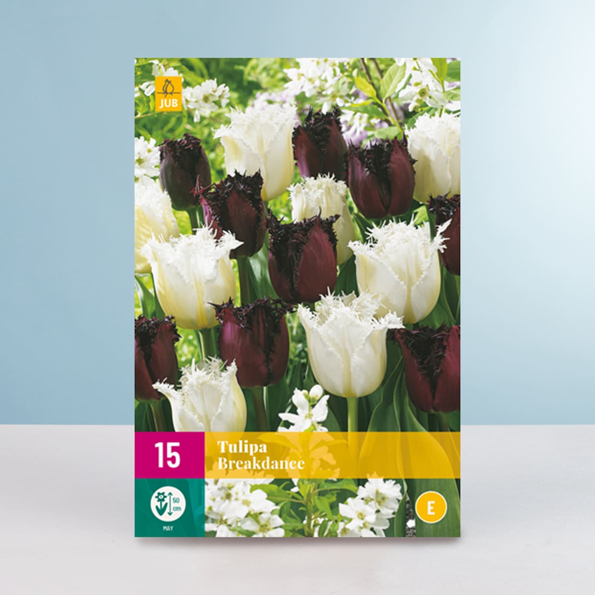 Tulpen 'Breakdance' Mix - 15 Zwiebeln