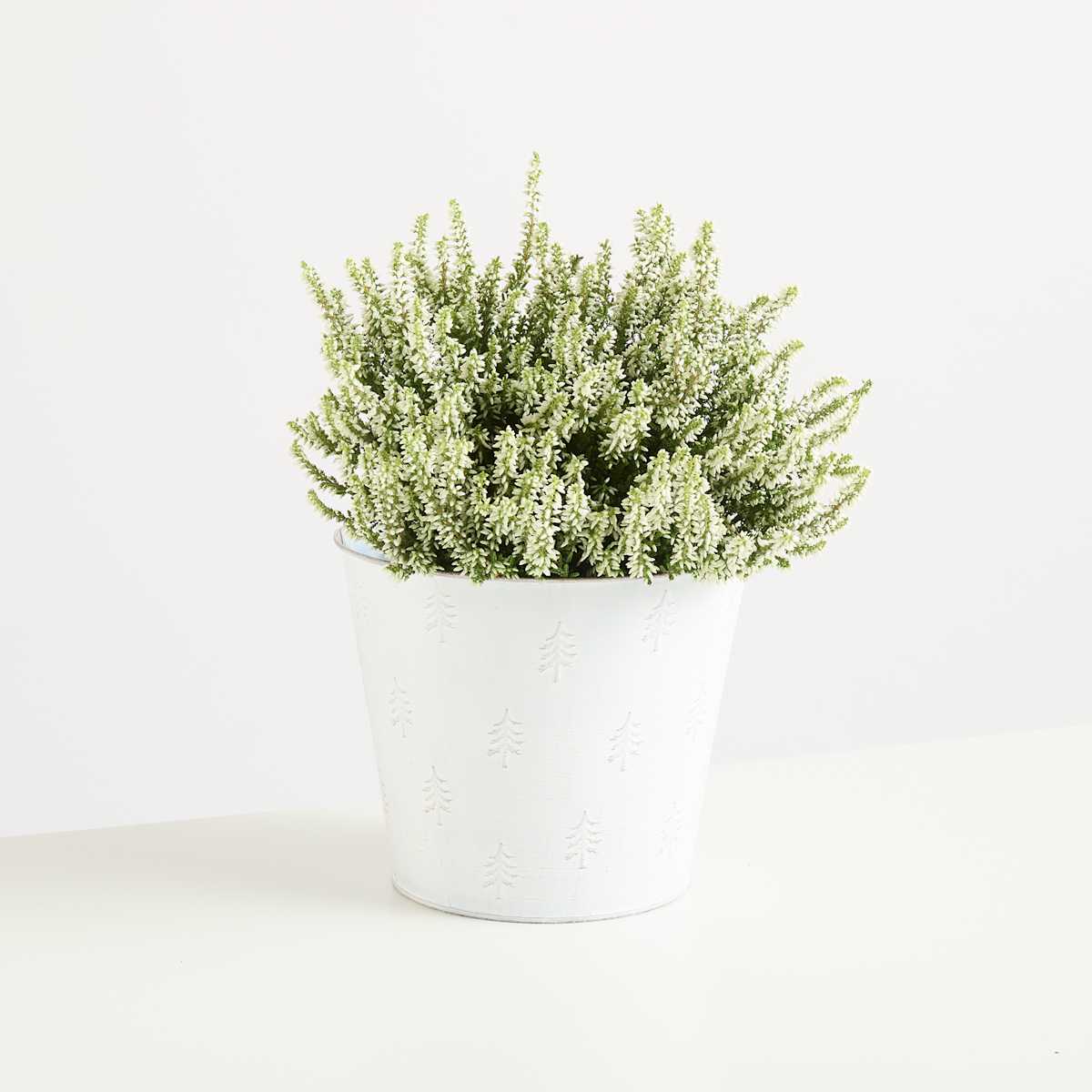 Zink Gefäß Weiß - 20 cm