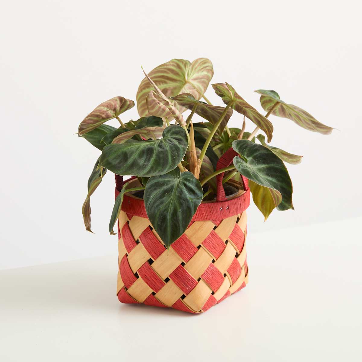Holz Korb Raute Rot - 14 cm