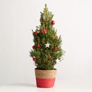 Weihnachtsabend