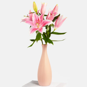 Lilies in Peachy Cream mit Vase