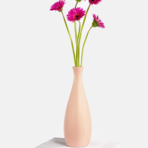 Pink Confetti in Bahia mit Vase