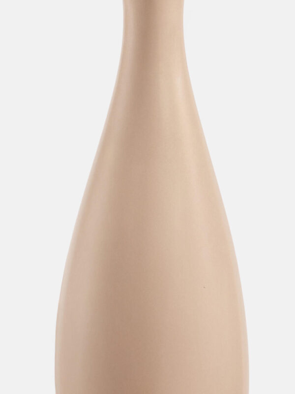 Desert Pompoms mit Vase – Bild 3