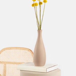 Desert Pompoms mit Vase