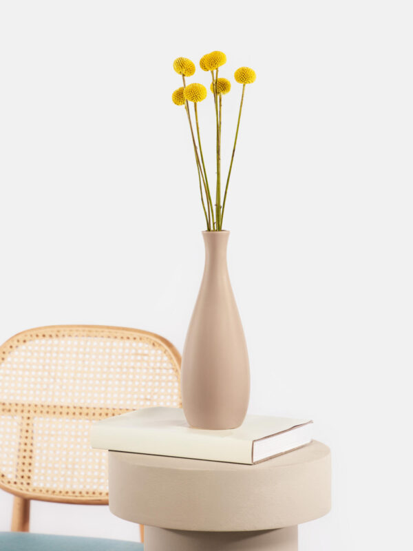 Desert Pompoms mit Vase