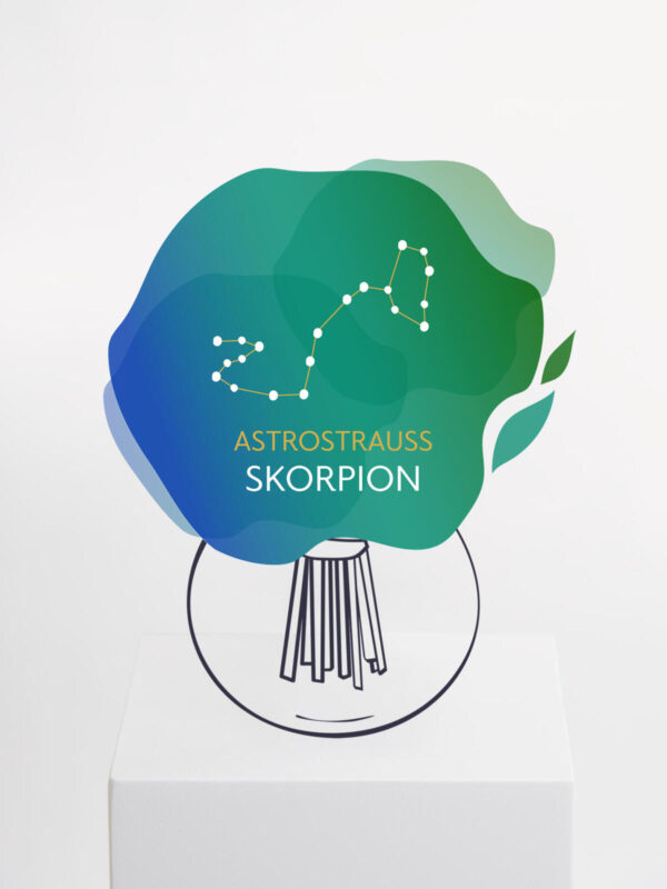 Astrostrauß Skorpion