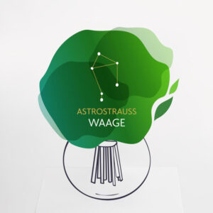 Astrostrauß Waage