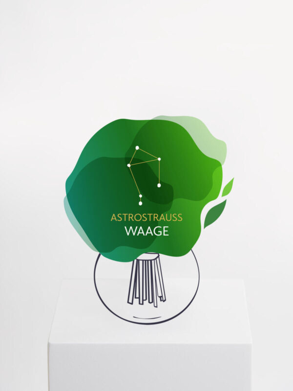 Astrostrauß Waage
