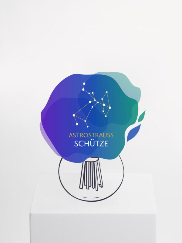 Astrostrauß Schütze