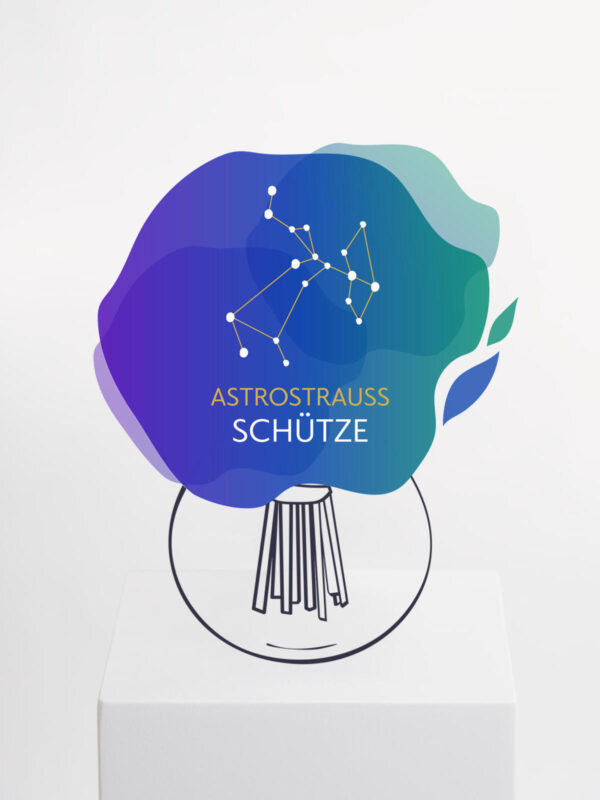 Astrostrauß Schütze