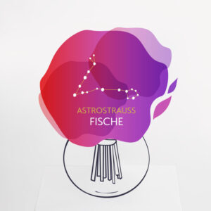 Astrostrauß Fische