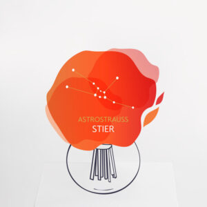 Astrostrauß Stier