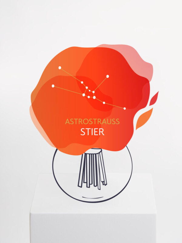 Astrostrauß Stier