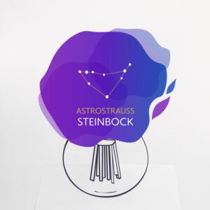 Astrostrauß Steinbock