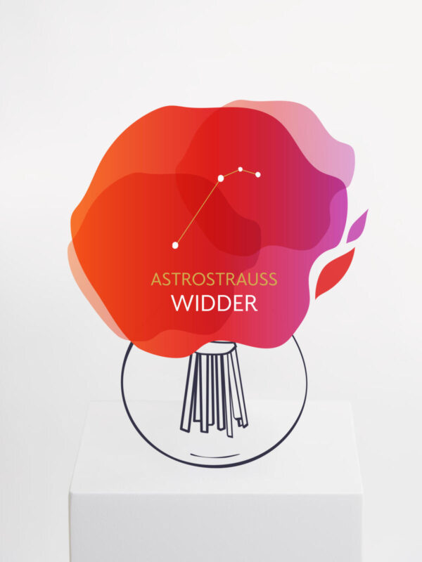 Astrostrauß Widder