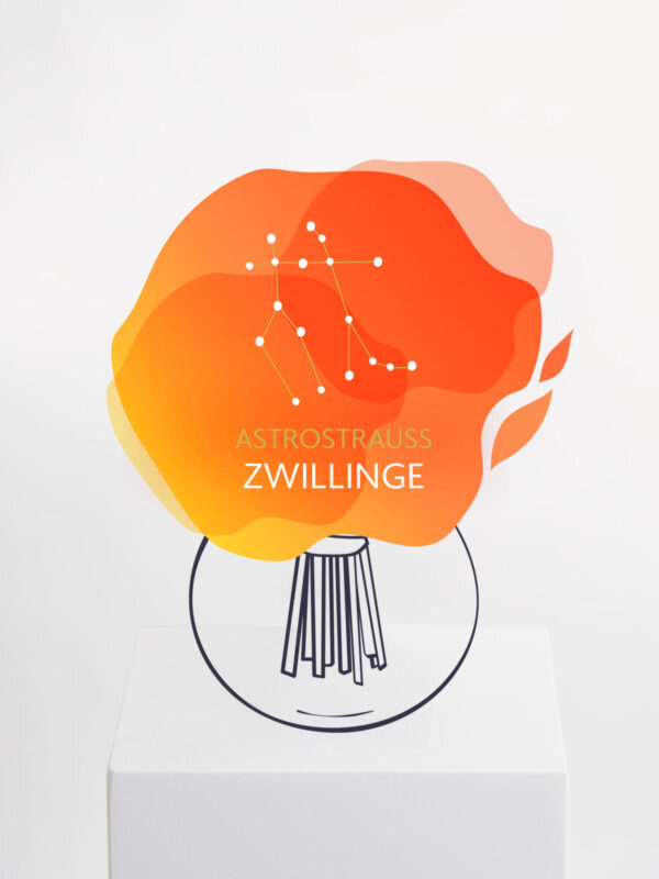 Astrostrauß Zwillinge