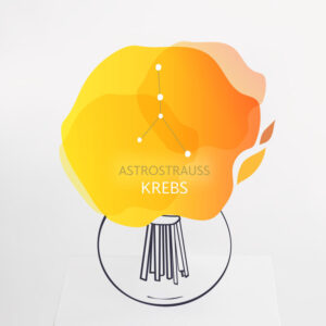 Astrostrauß Krebs