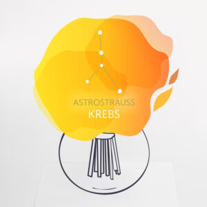 Astrostrauß Krebs