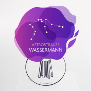 Astrostrauß Wassermann