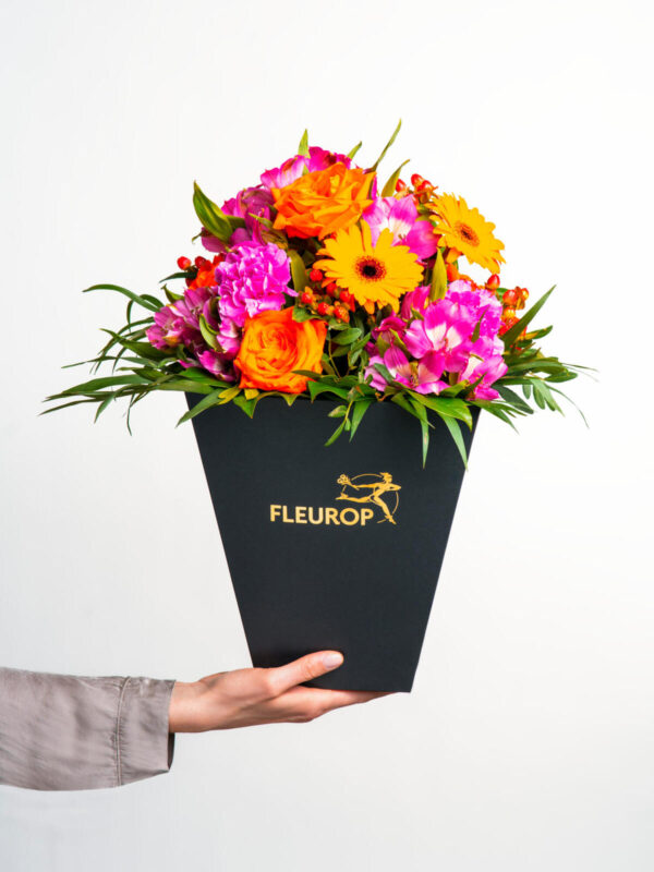Viel Glück – Bild 4