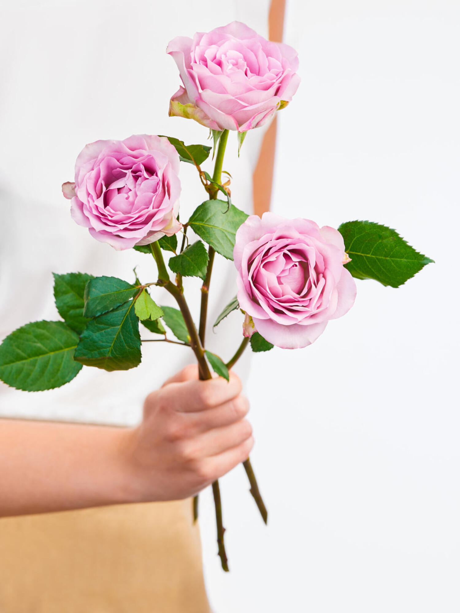 Alles Gute zum Geburtstag (Größe L) – Bild 2