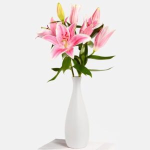 Lilies in Cream mit Vase