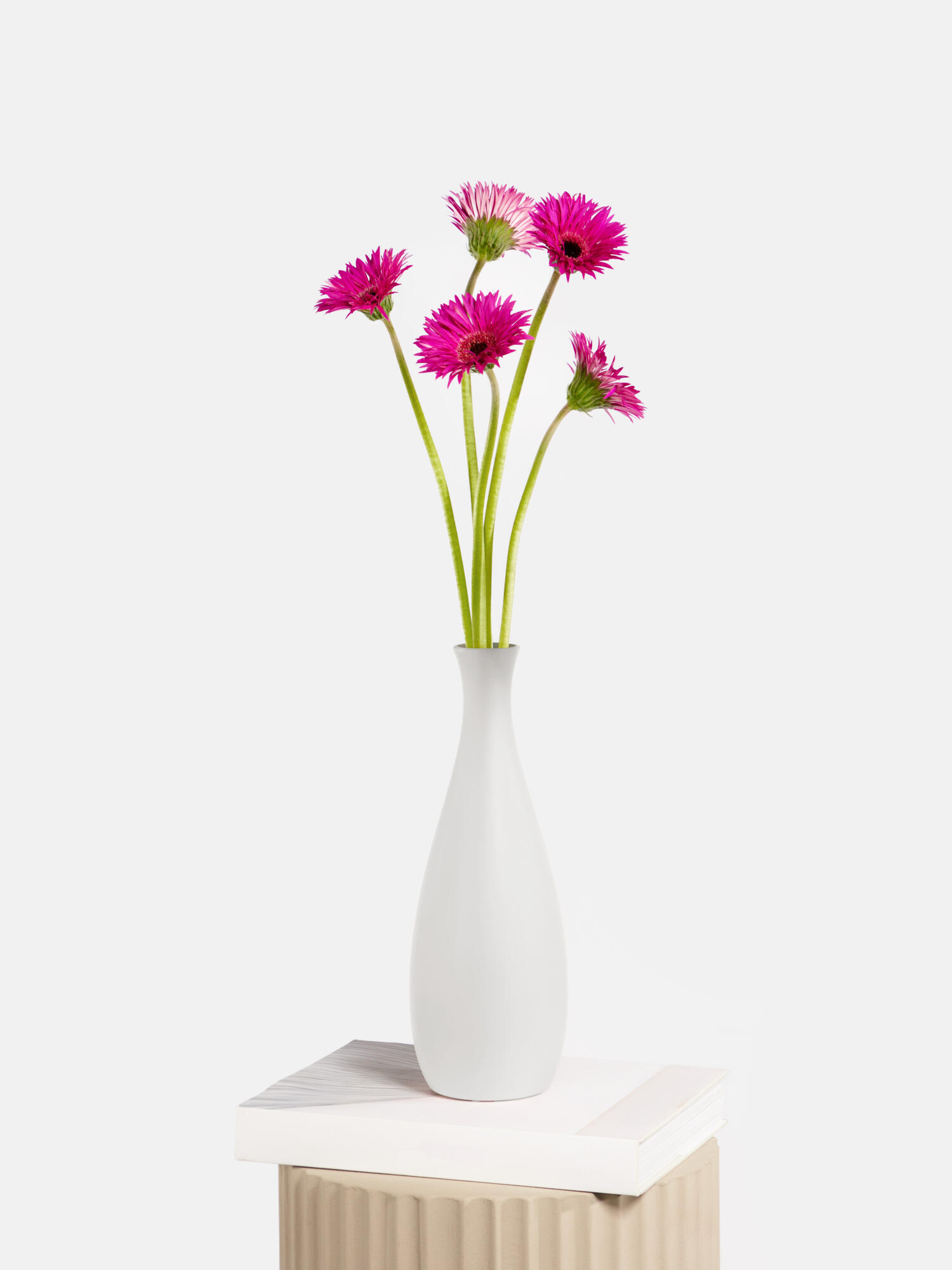 Pink Confetti in Bahia mit Vase