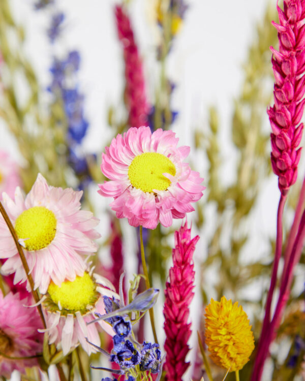 Bunter Wildblumenstrauß – Bild 3