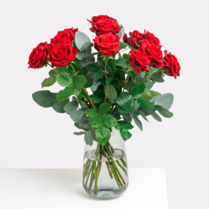 Rosenträume in 100 Minuten