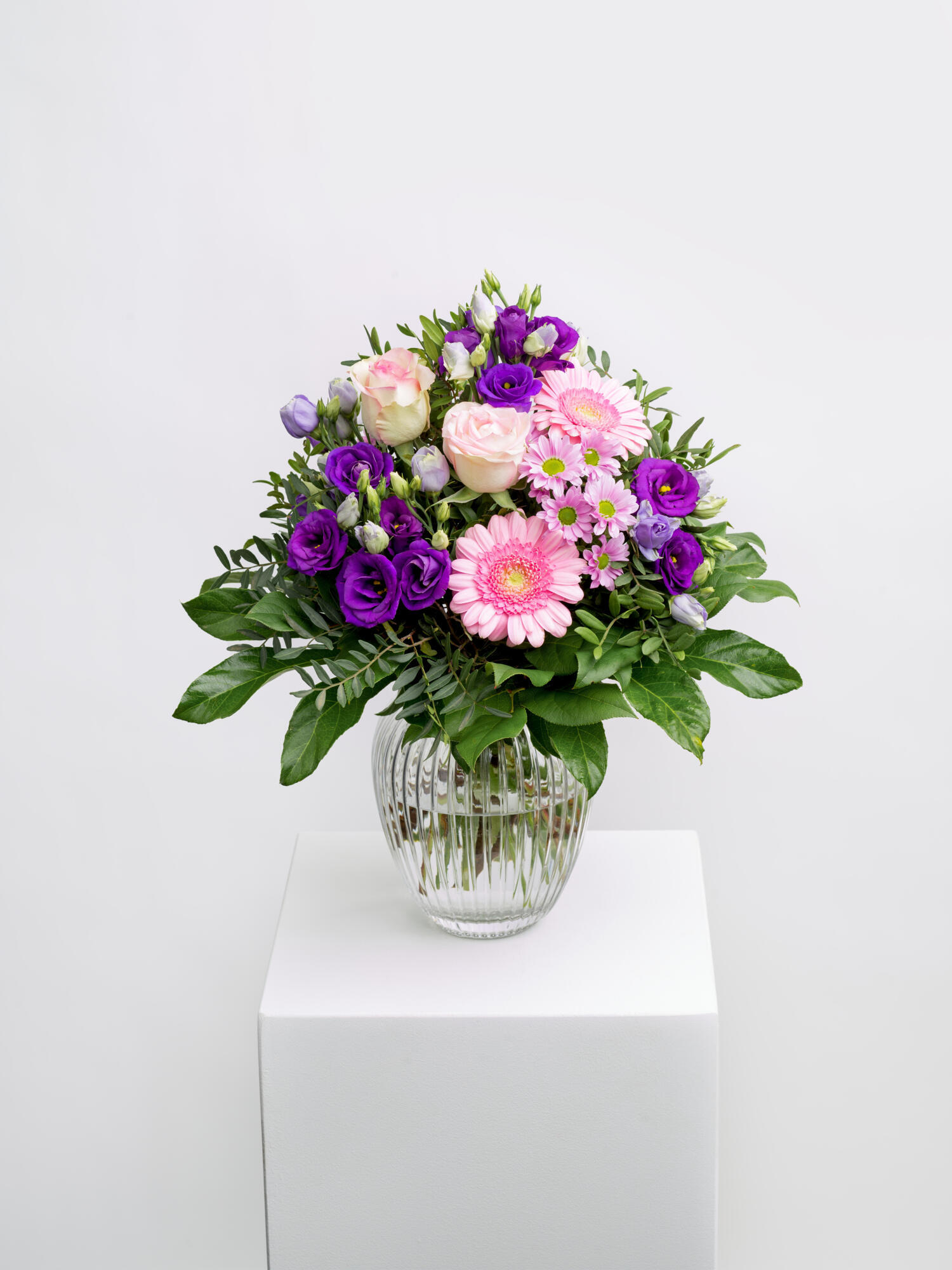 Atemberaubend Eleganz in 100 Minuten