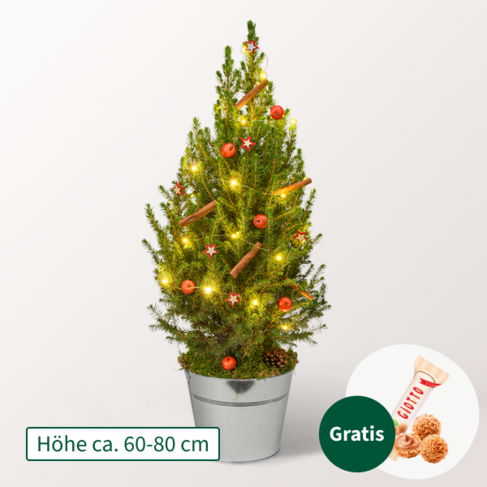 Weihnachtsbaum Weihnachtsfest mit LED-Beleuchtung &