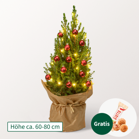 Weihnachtsbaum Merry Christmas mit LED-Beleuchtung &