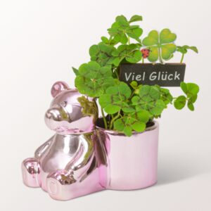 Bäriger Neujahrsgruß