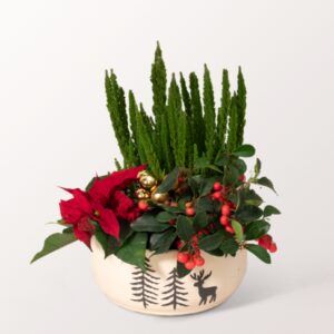 Arrangement Wintermagie