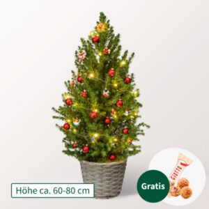 Weihnachtsbaum Weihnachtsmärchen mit LED-Beleuchtung &