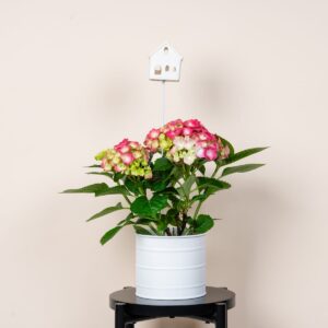 Keramikstecker Haus Gelbes Dach