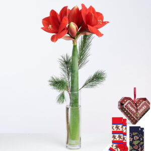 Happy Santa (Größe M)