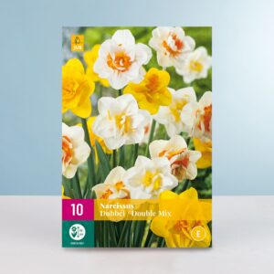 Gefüllte Narzissen 'Double' Mix - 10 Zwiebeln