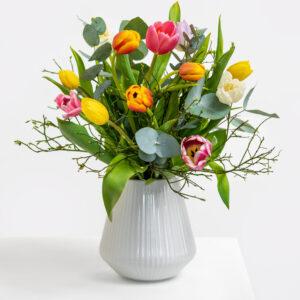 Frisch und Fröhlich