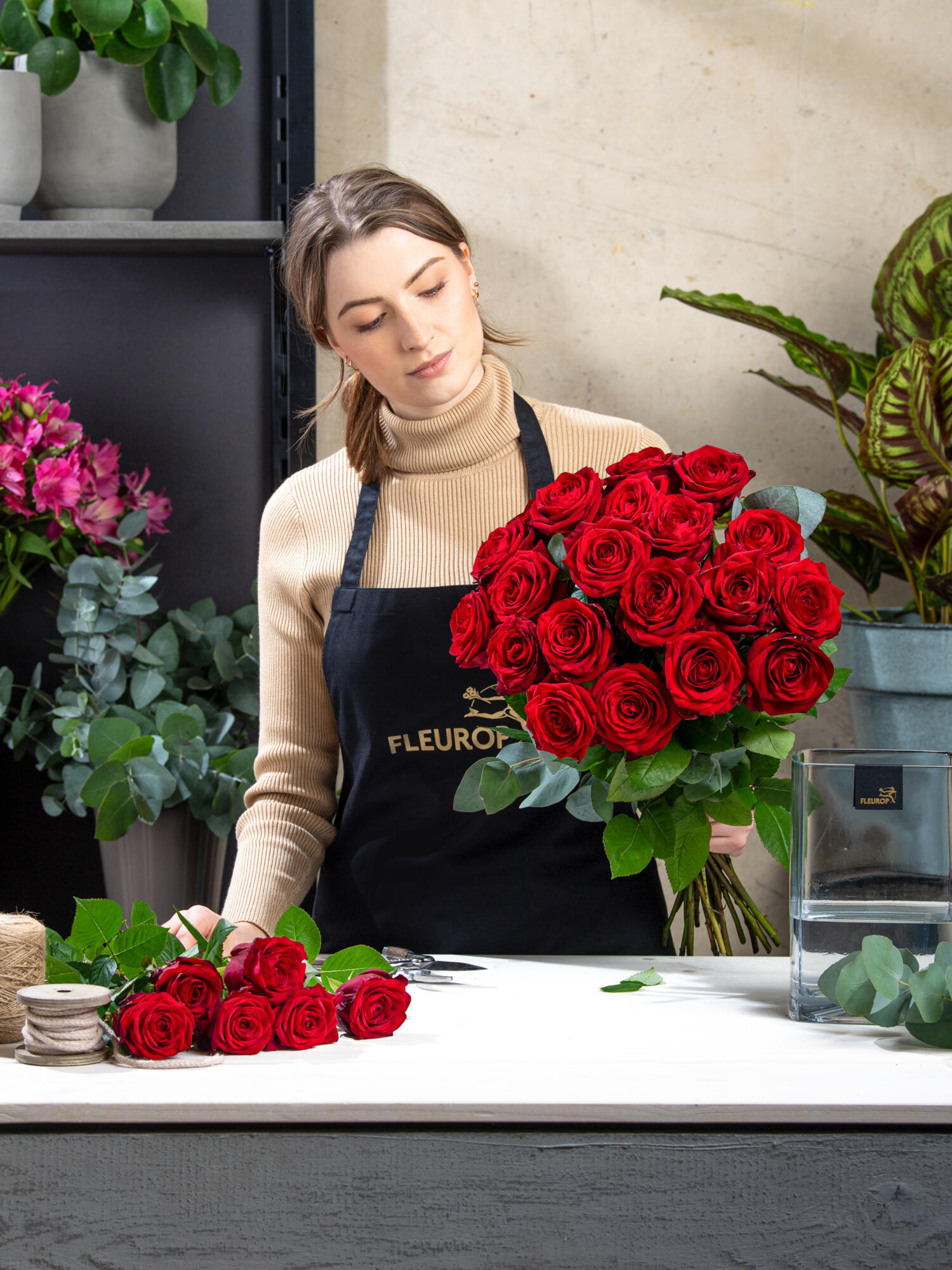 Rosenträume in 100 Minuten – Bild 4