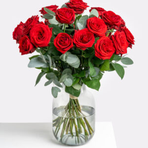 Rosenträume in 100 Minuten