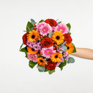 1000 Wünsche in 100 Minuten