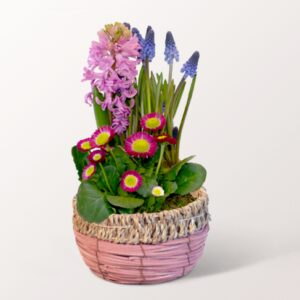 Fr&uuml;hlingsfarben im Korb