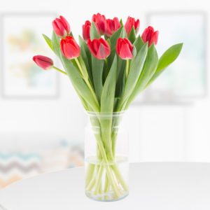 10 Rote Tulpen