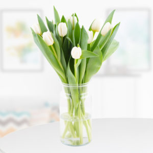 10 Weiße Tulpen