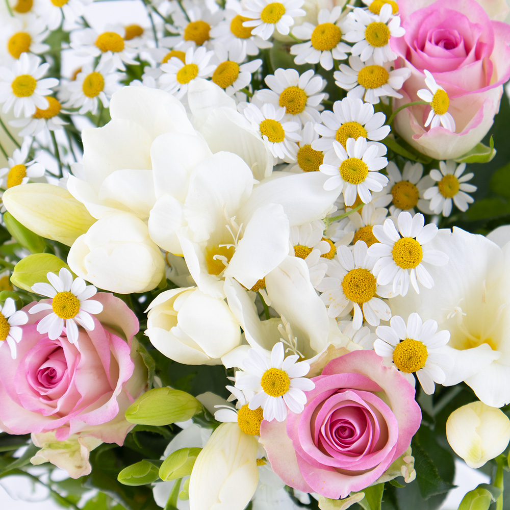 Freesienstrauß Lina – Bild 2