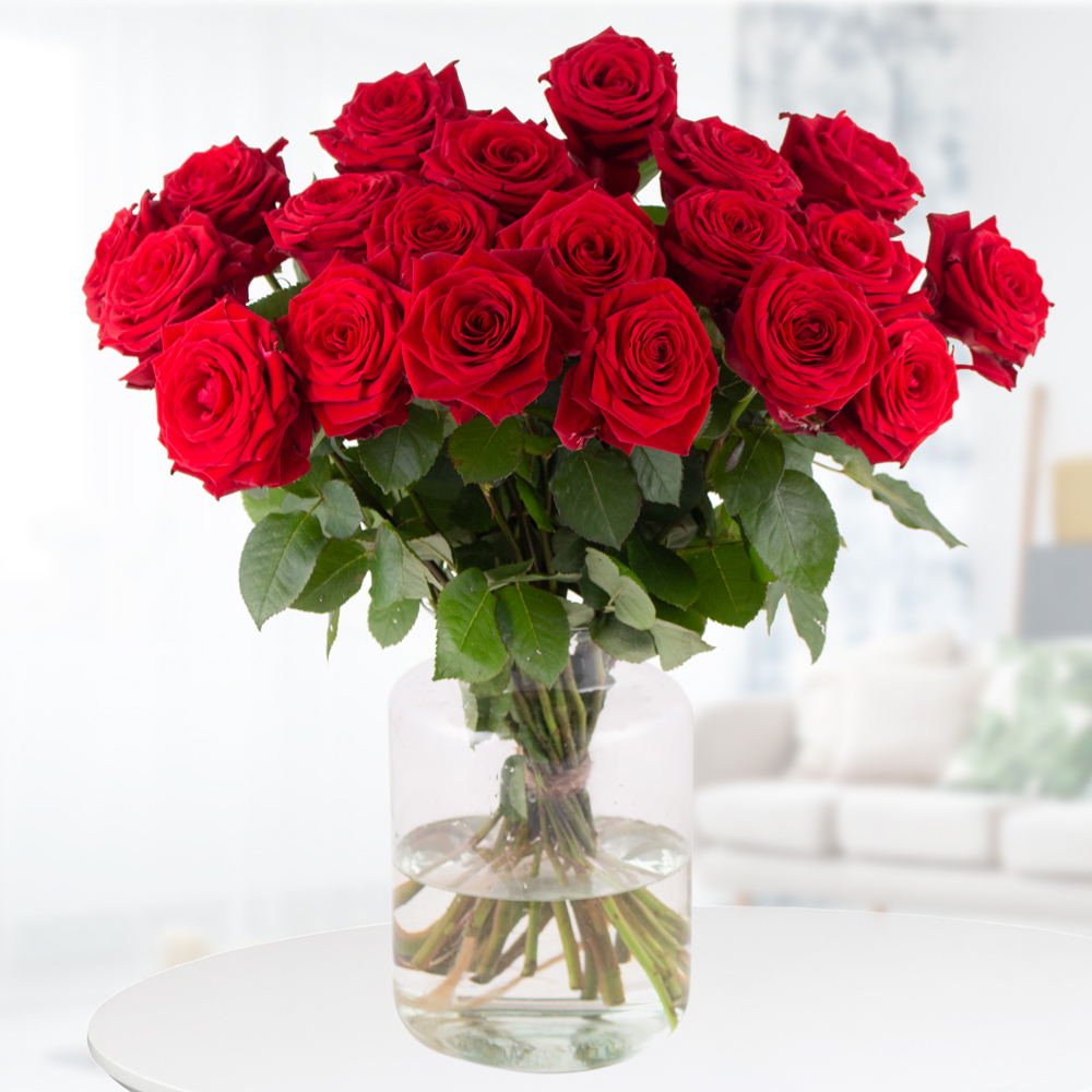 Rote Premium-Rosen Red Naomi (60cm)